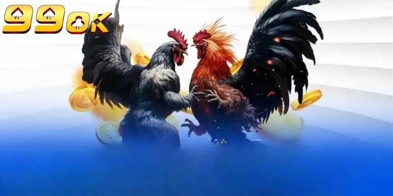 Đá Gà 99OK được hàng triệu người chơi ưa chuộng